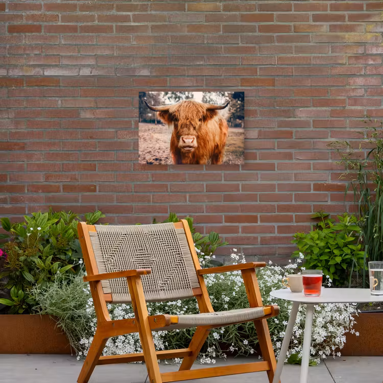 Koe- Schotse hooglander - Hoorns - Bruin - Landschap Tuinposter op houten frame 2 cm dik klein -sfeer3