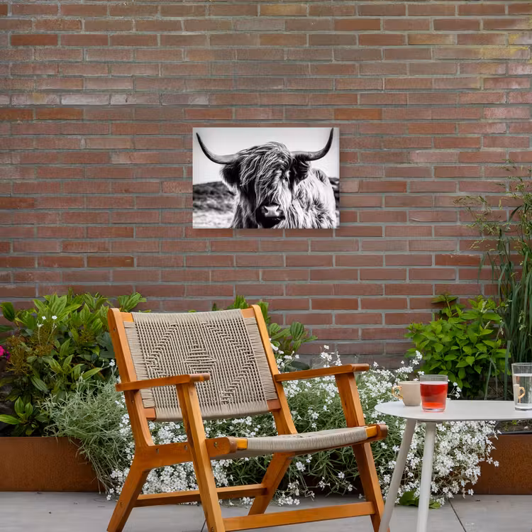 Koe - Schotse hooglander - Zwart - Wit - Dier - Natuur - Wild Tuinposter op houten frame 2 cm dik klein -sfeer3