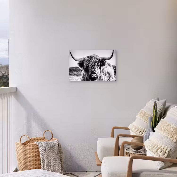Koe - Schotse hooglander - Zwart - Wit - Dier - Natuur - Wild Tuinposter op houten frame 2 cm dik klein -sfeer1