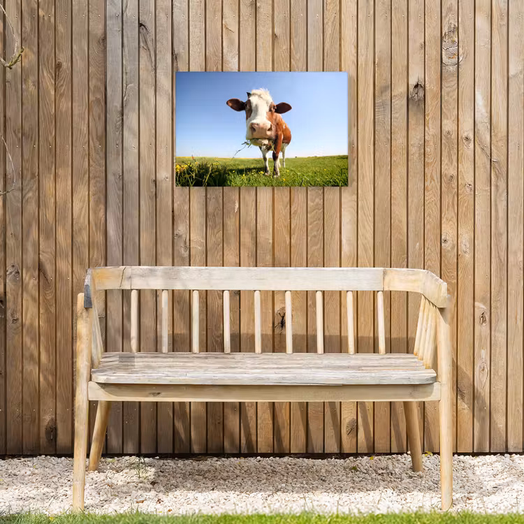 Koe - Dieren - Bloemen - Gras Tuinposter op houten frame 2 cm dik klein -sfeer4