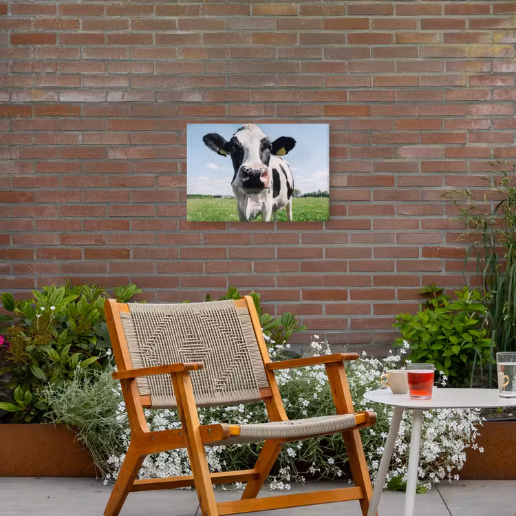 Koe - Weiland - Natuur - Dieren - Gras Tuinposter op houten frame 2 cm dik klein -sfeer3