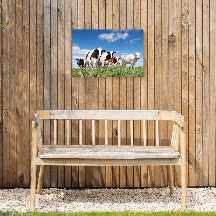 Koeien - Platteland - Weiland - Natuur - Dieren Tuinposter op houten frame 2 cm dik klein -sfeer4