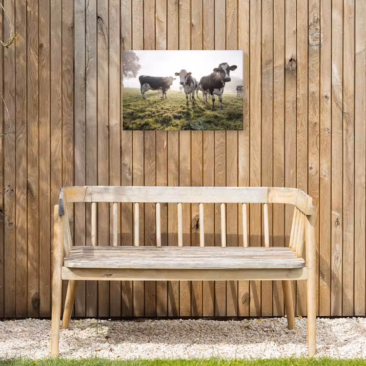 Koeien - Licht - Gras - Dieren Tuinposter op houten frame 2 cm dik klein -sfeer4