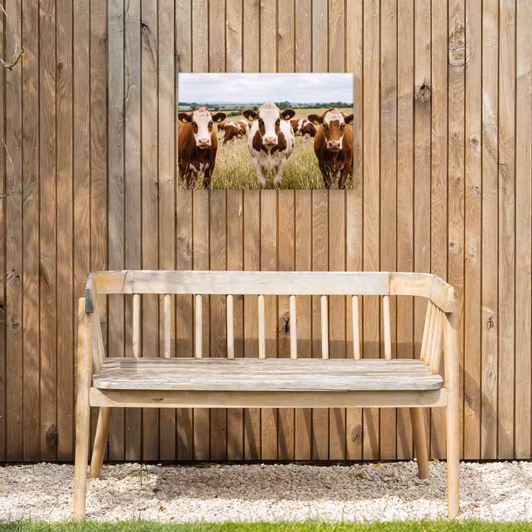 Koeien - Portret - Weide - Boerderij - Nieuwsgierig Tuinposter op houten frame 2 cm dik klein -sfeer4