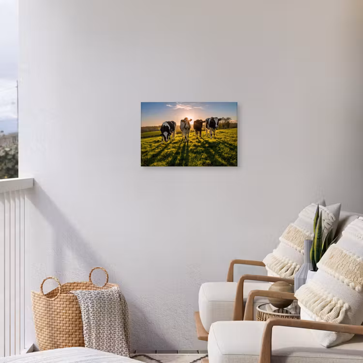 Koeien - Zon - Gras - Dieren - Boerderij Tuinposter op houten frame 2 cm dik klein -sfeer1