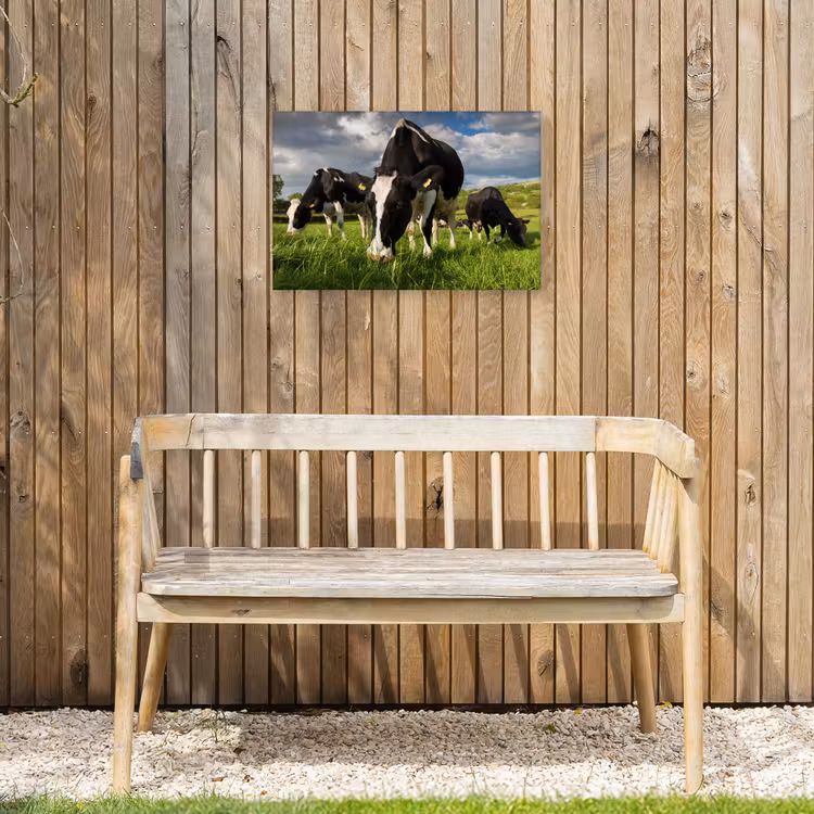 Koeien - Dieren - Gras - Weiland - Boerderij Tuinposter op houten frame 2 cm dik klein -sfeer4