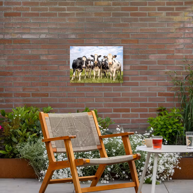 Koeien - Weiland - Dieren - Natuur - Gras Tuinposter op houten frame 2 cm dik klein -sfeer3