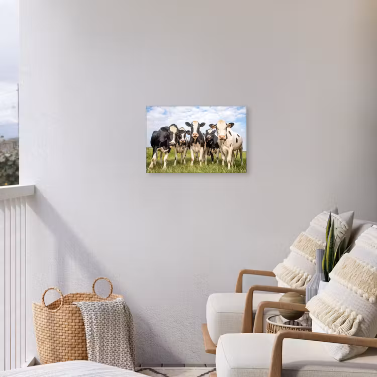 Koeien - Weiland - Dieren - Natuur - Gras Tuinposter op houten frame 2 cm dik klein -sfeer1