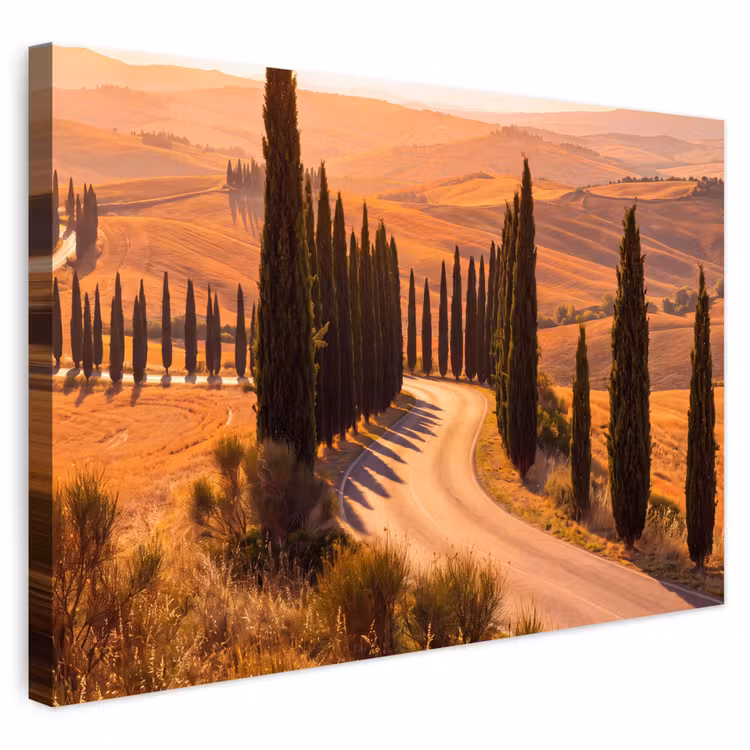 Landschap - Weg - Bomen - Natuur - Goud Tuinposter op houten frame 2 cm dik klein -3d