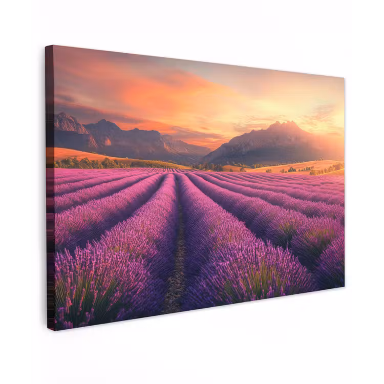 Lavendelveld - Zonsondergang - Paars Tuinposter op houten frame 2 cm dik klein -3d