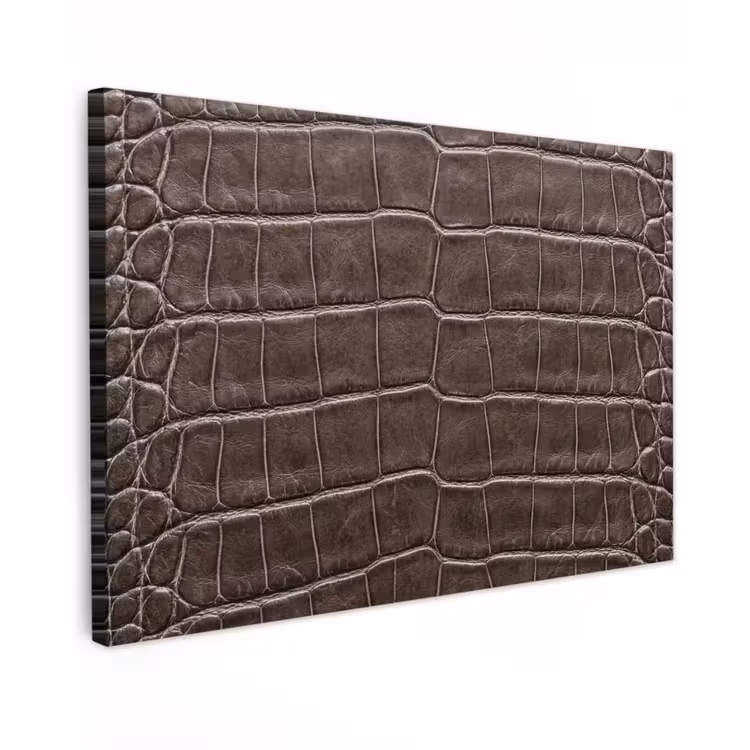 Leer - Krokodil - Mat Tuinposter op houten frame 2 cm dik klein -3d