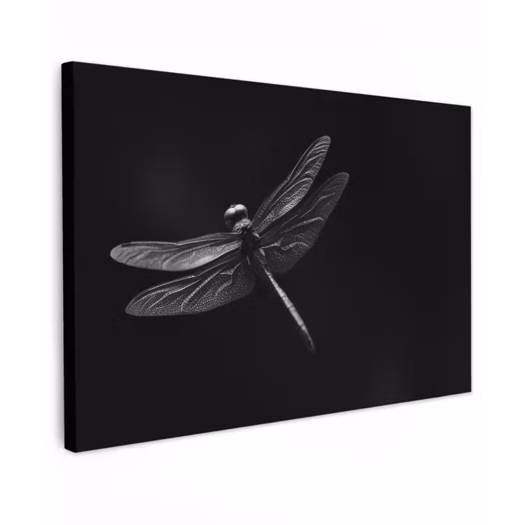 Libelle - Dieren - Zwart - Insect Tuinposter op houten frame 2 cm dik klein -3d