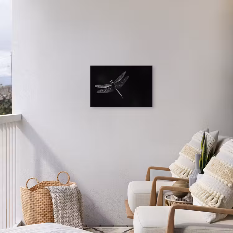 Libelle - Dieren - Zwart - Insect Tuinposter op houten frame 2 cm dik klein -sfeer1