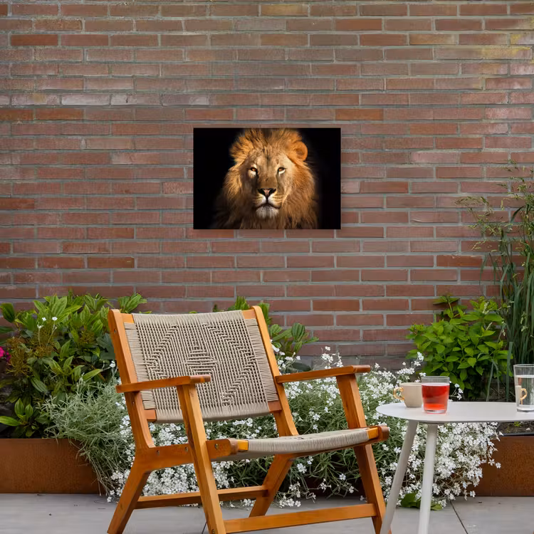 Leeuw - Dieren - Zwart - Licht - Bruin - Portret Tuinposter op houten frame 2 cm dik klein -sfeer3