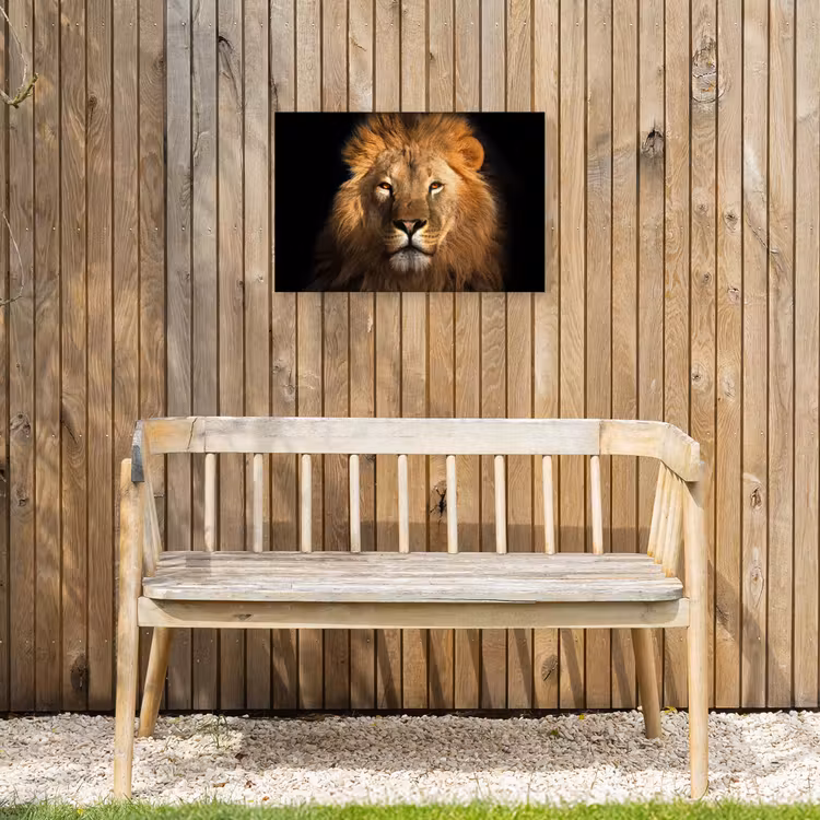 Leeuw - Dieren - Zwart - Licht - Bruin - Portret Tuinposter op houten frame 2 cm dik klein -sfeer4