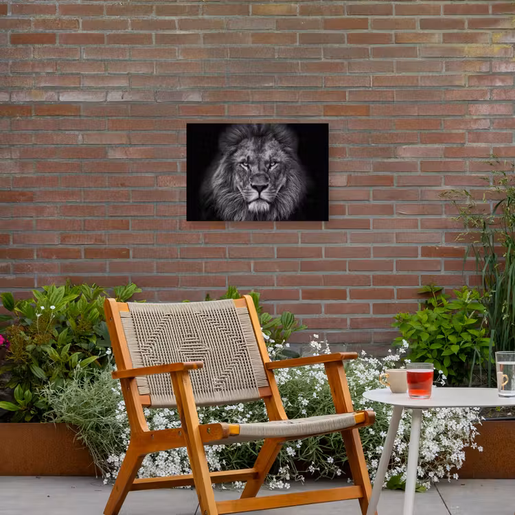 Leeuw - Dieren - Zwart - Wit Tuinposter op houten frame 2 cm dik klein -sfeer3