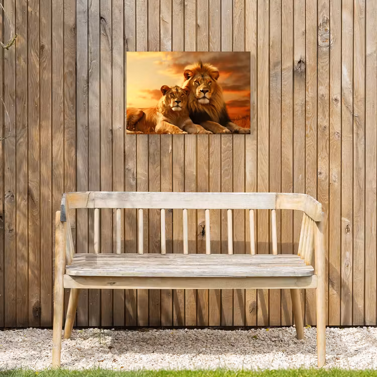 Leeuwen - Zonsondergang - Afrika - Savanne - Dieren Tuinposter op houten frame 2 cm dik klein -sfeer4