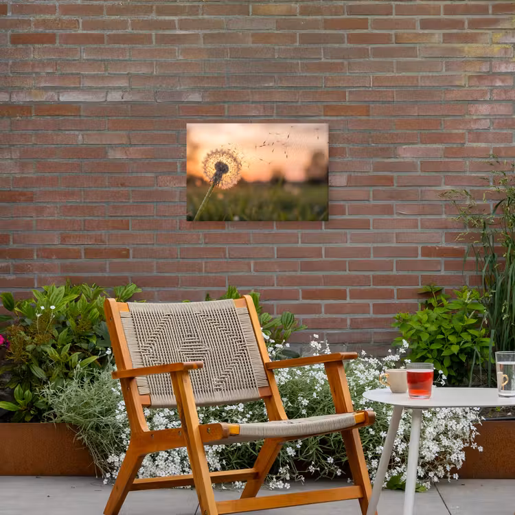 Paardenbloem - Zonsondergang - Veld Tuinposter op houten frame 2 cm dik klein -sfeer3