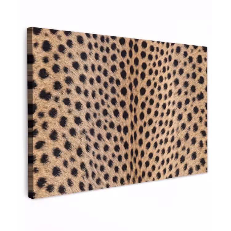 Vacht - Jachtluipaard - Zwart - Wit Tuinposter op houten frame 2 cm dik klein -3d