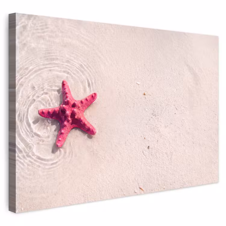 Zeeleven - Zeester - Strand - Roze - Water Tuinposter op houten frame 2 cm dik klein -3d