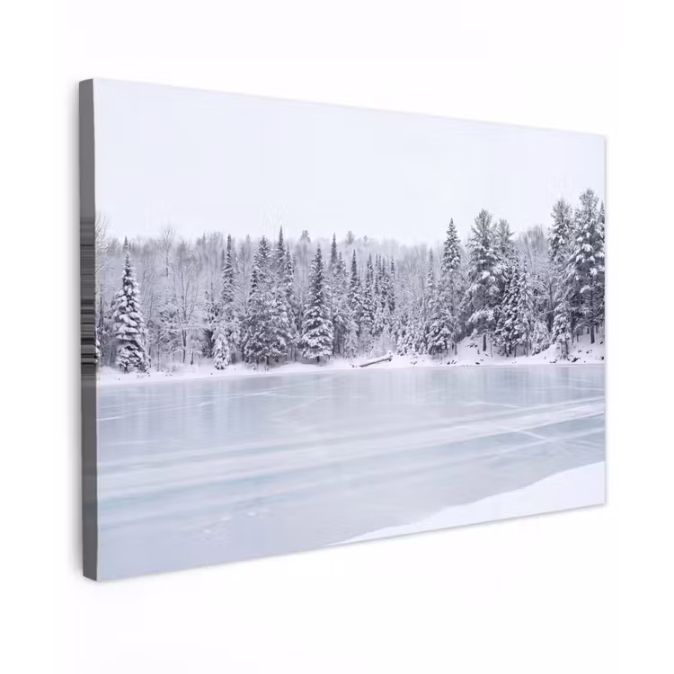 Meer - Dennen - IJs - Winter - Rustgevend Tuinposter op houten frame 2 cm dik klein -3d