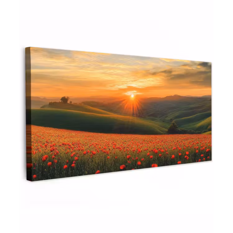 Klaprozen - Bloemen - Heuvels - Zonsondergang Tuinposter op houten frame 2 cm dik xxl -3d
