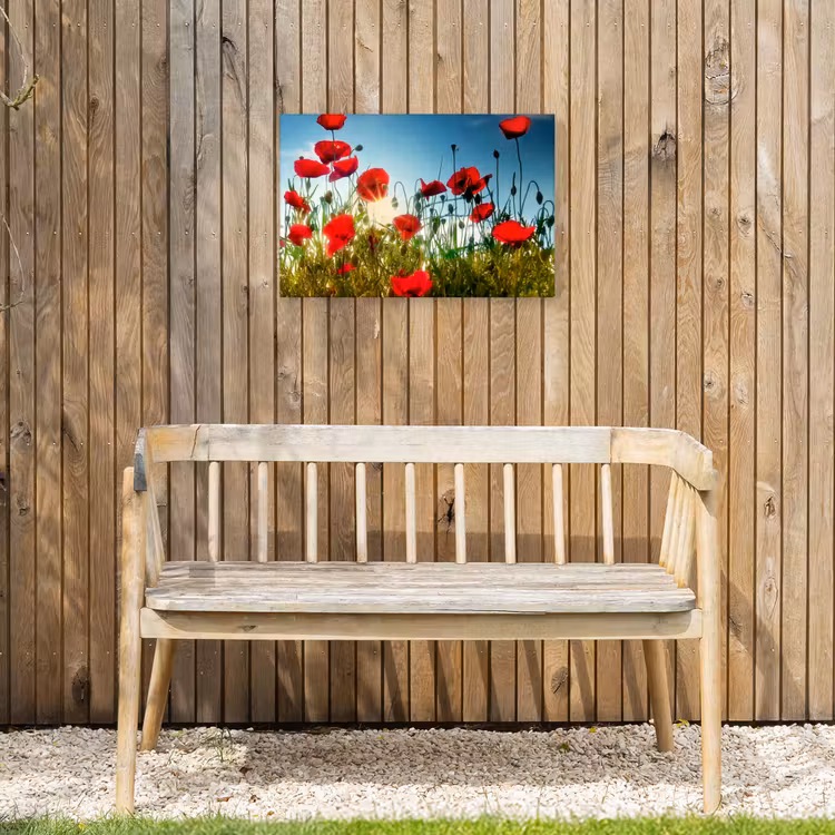 Klaprozen in ochtendlicht Tuinposter op houten frame 2 cm dik klein -sfeer4