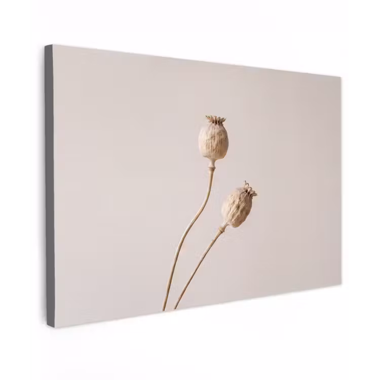 Papaverbollen - Droogbloemen - Minimalistisch - Beige - Rustig Tuinposter op houten frame 2 cm dik klein -3d