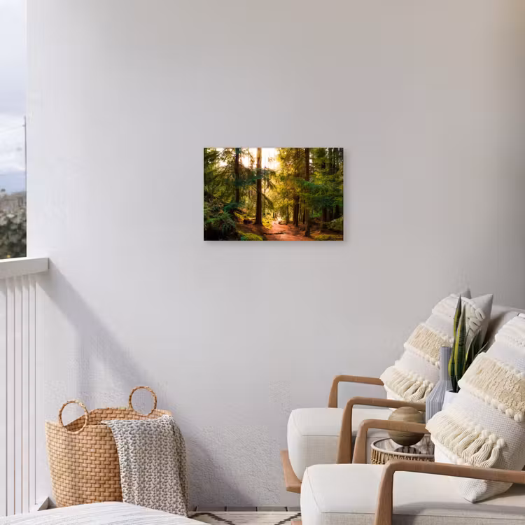 Mossig bospad Tuinposter op houten frame 2 cm dik klein -sfeer1