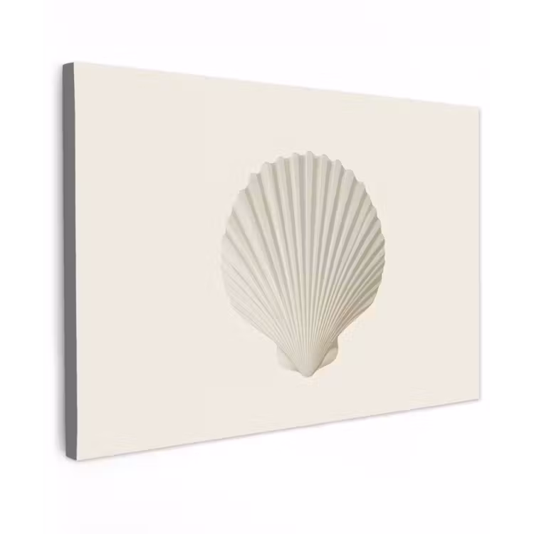 Schelp - Minimalistisch - Wit Tuinposter op houten frame 2 cm dik klein -3d