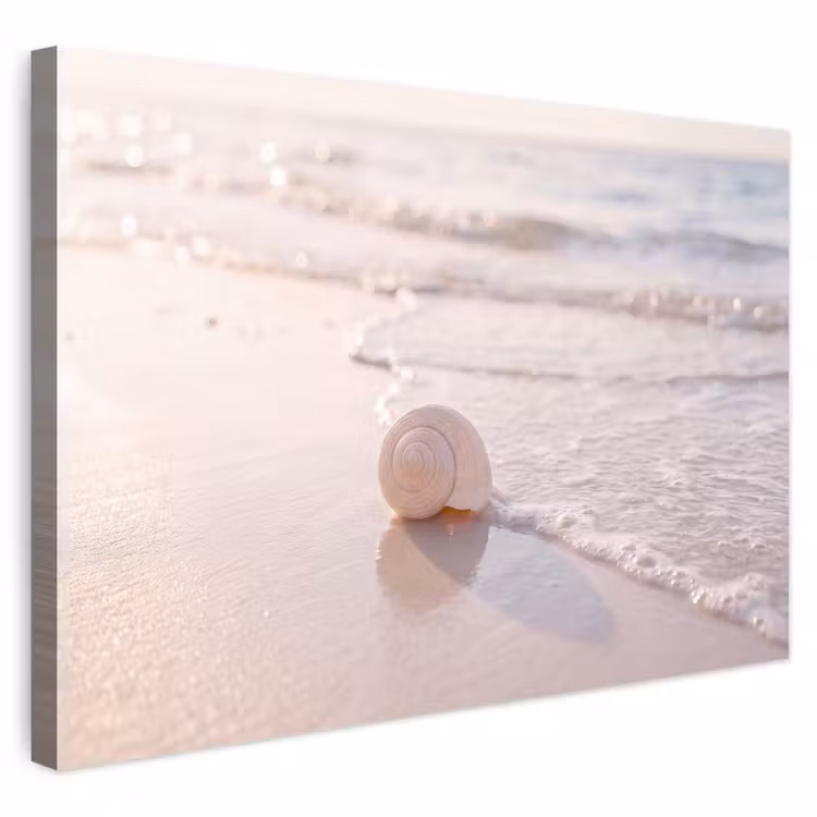 Zeeschelp - Strand - Zee - Natuur - Beige Tuinposter op houten frame 2 cm dik klein -3d
