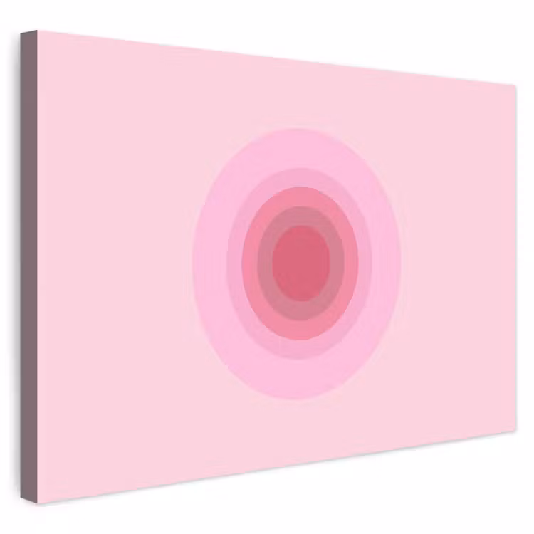 Patroon - Cirkels - Abstract - Roze - Modern Tuinposter op houten frame 2 cm dik klein -3d