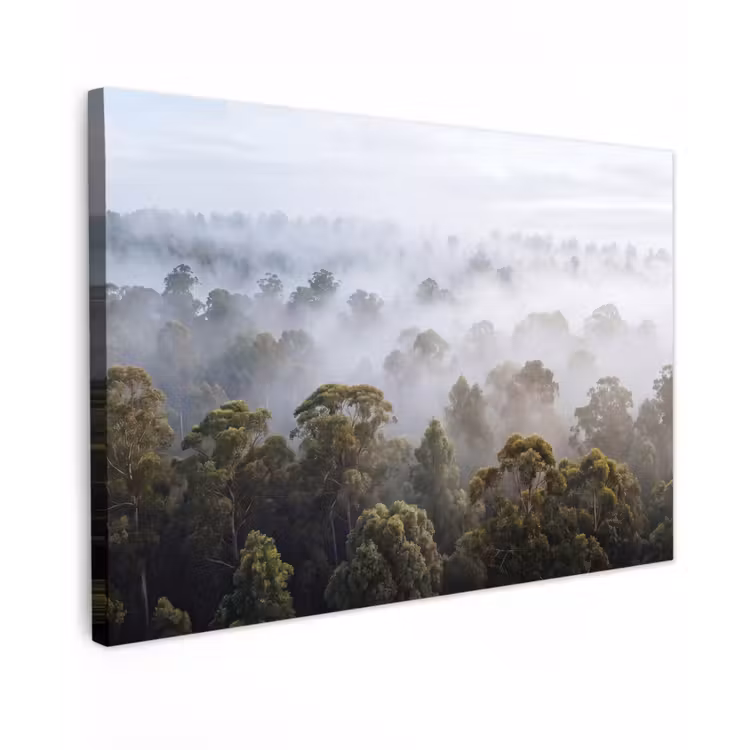 Natuur - Mist - Bos - Ochtend - Goud Tuinposter op houten frame 2 cm dik klein -3d