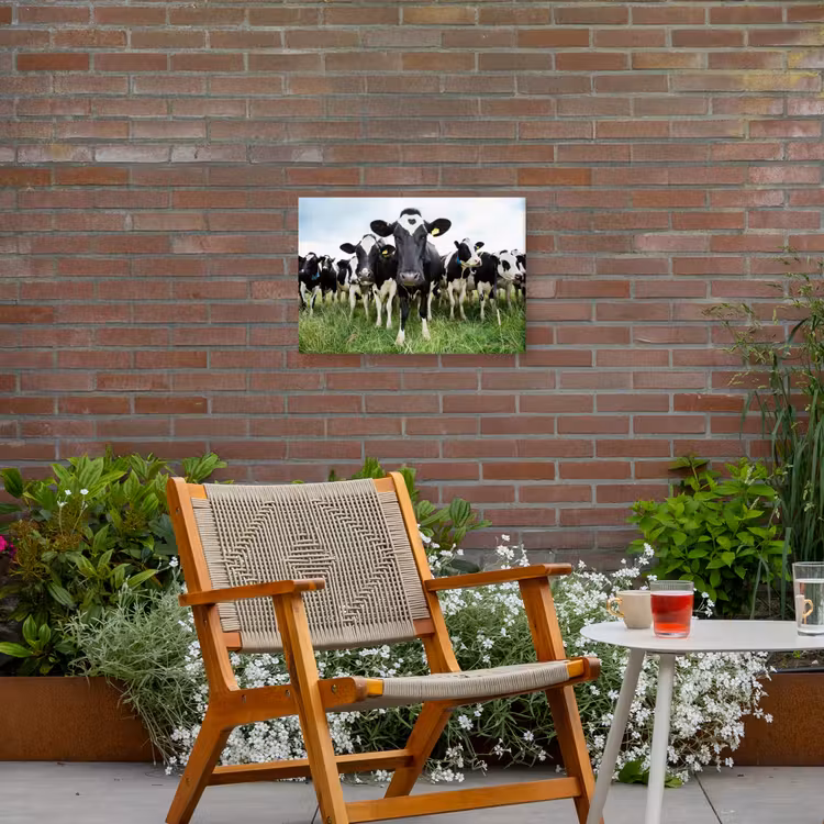 Nieuwsgierige koeien Tuinposter op houten frame 2 cm dik klein -sfeer3