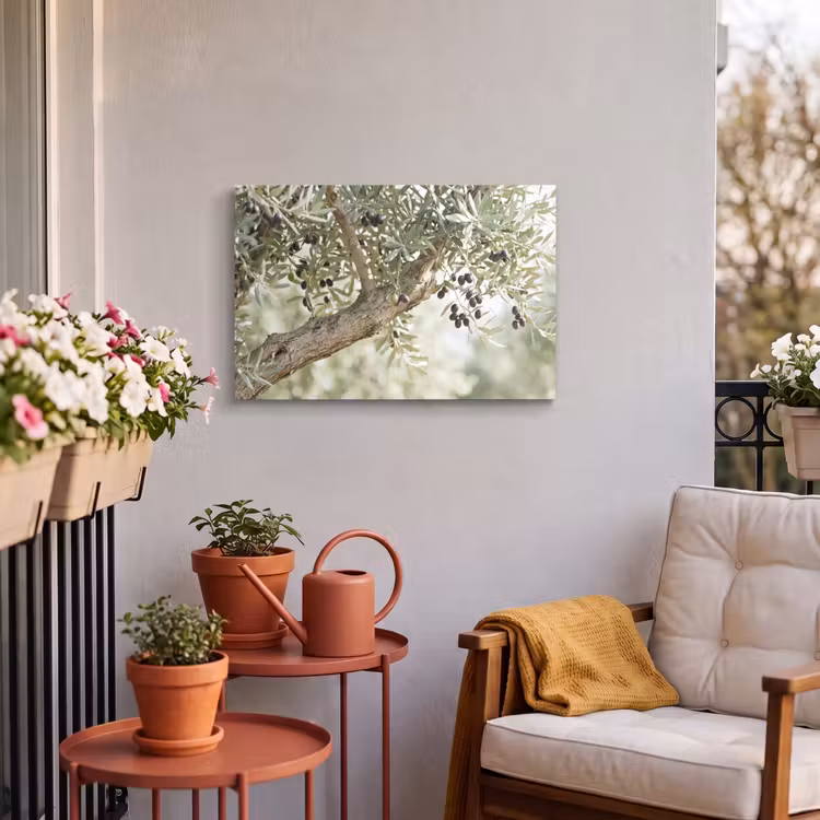 Outdoor Leinwand - Olivenbaum – Zweig – grün - Olijfboom - tak - groen Tuinposter op houten frame 2 cm dik klein