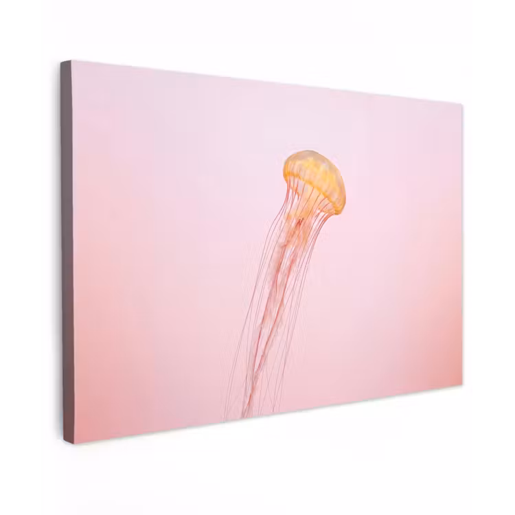 Sierlijk - Kwal - Roze Tuinposter op houten frame 2 cm dik klein -3d