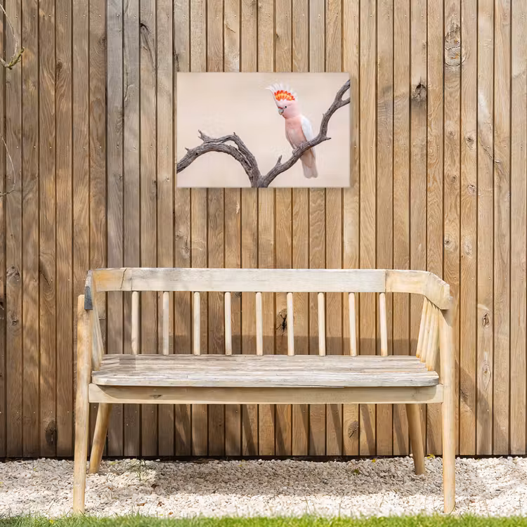 Papagaai - Tak - Roze Tuinposter op houten frame 2 cm dik klein -sfeer4