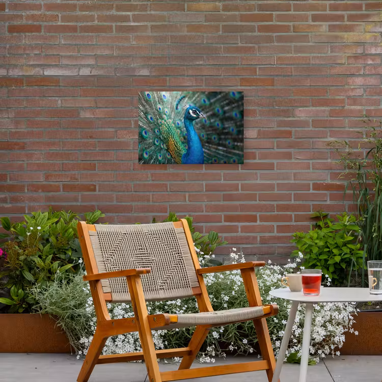Pauw - Veren - Blauw Tuinposter op houten frame 2 cm dik klein -sfeer3