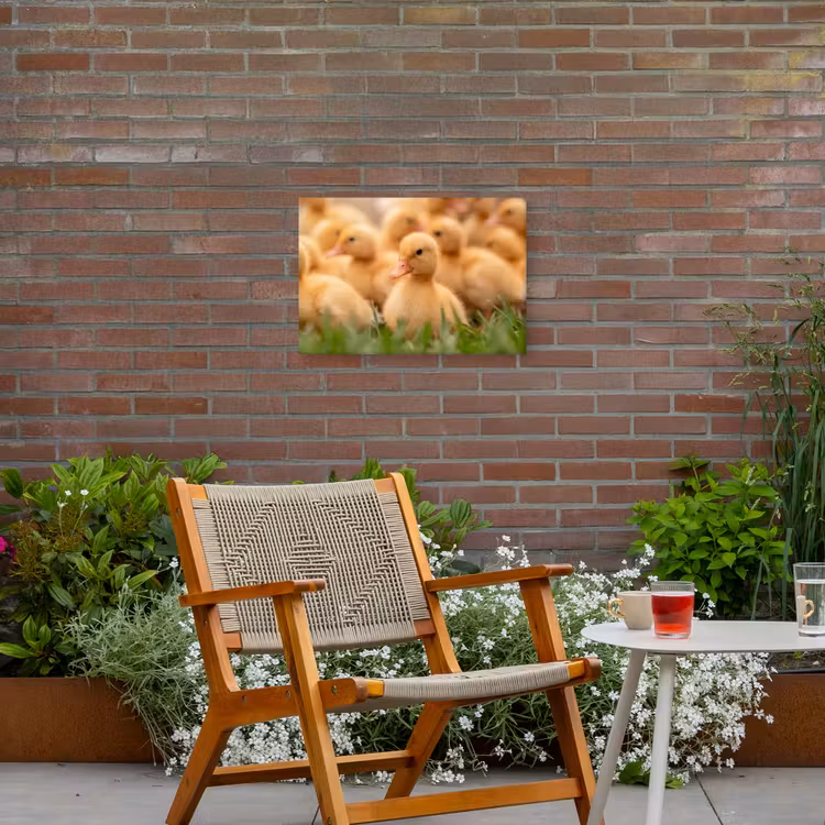 Pijltje - Eend - Natuur - Geel Tuinposter op houten frame 2 cm dik klein -sfeer3