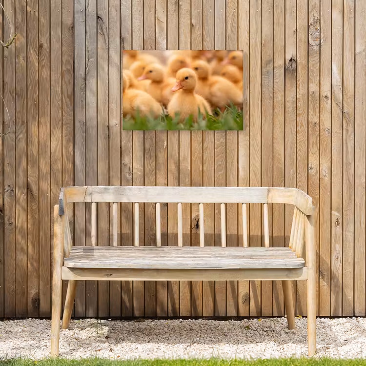 Pijltje - Eend - Natuur - Geel Tuinposter op houten frame 2 cm dik klein -sfeer4