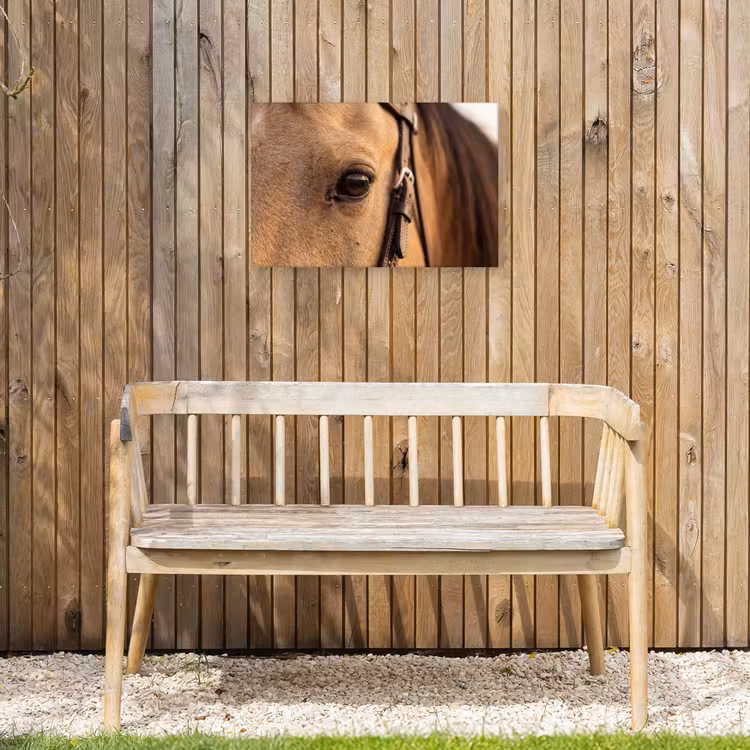 Paard - Oog - Bruin Tuinposter op houten frame 2 cm dik klein -sfeer4