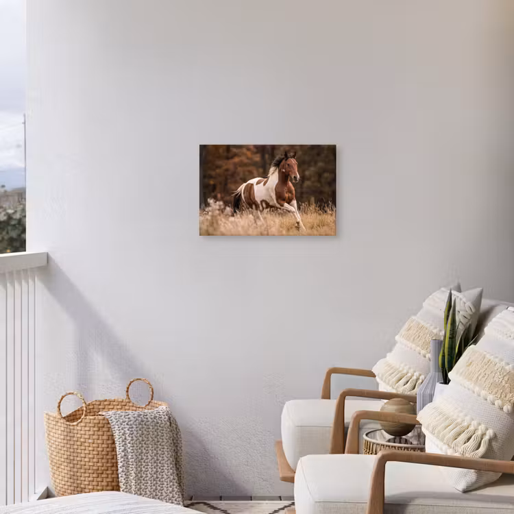 Paard - Bruin - Gras Tuinposter op houten frame 2 cm dik klein -sfeer1