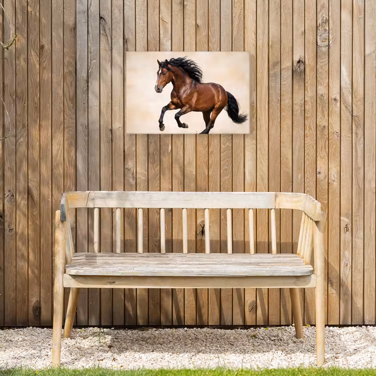 Paard - Galop - Energie Tuinposter op houten frame 2 cm dik klein -sfeer4