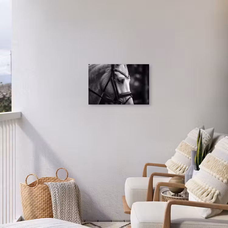 Paard - Schimmel - Portret Tuinposter op houten frame 2 cm dik klein -sfeer1