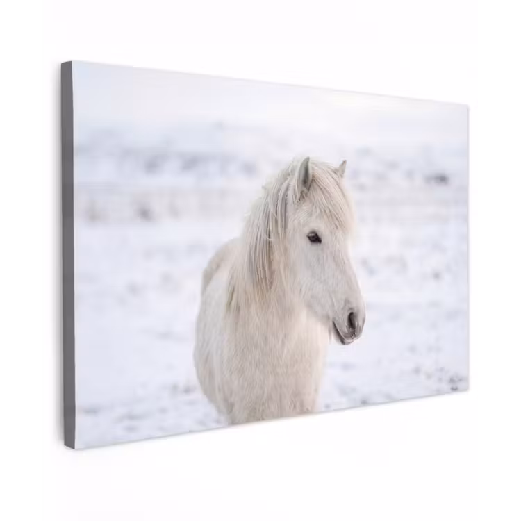 Paard - Kop - Winter - Dieren - Wit Tuinposter op houten frame 2 cm dik klein -3d