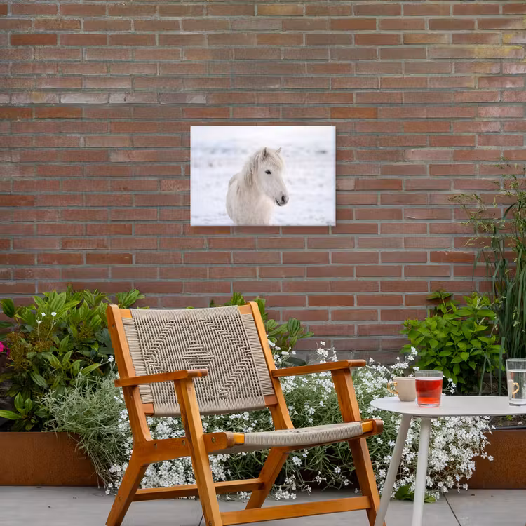 Paard - Kop - Winter - Dieren - Wit Tuinposter op houten frame 2 cm dik klein -sfeer3