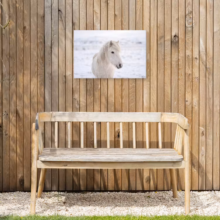 Paard - Kop - Winter - Dieren - Wit Tuinposter op houten frame 2 cm dik klein -sfeer4