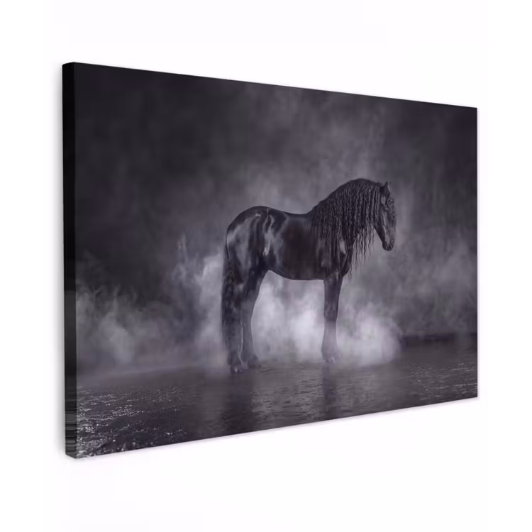 Paard - Magisch - Zwart Tuinposter op houten frame 2 cm dik klein -3d