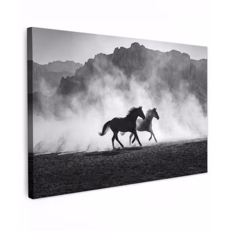 Paard - Ren - Stof - Zwart-wit - Dieren Tuinposter op houten frame 2 cm dik klein -3d