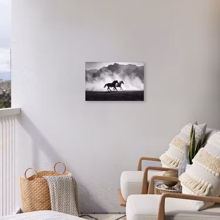 Paard - Ren - Stof - Zwart-wit - Dieren Tuinposter op houten frame 2 cm dik klein -sfeer1
